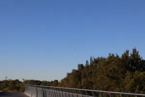 2025-06-21 Bartons Park - IMG_2486_compressed_q50.webp